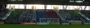 RAPID WIEN - DER KLUB FR DEN WIR LEBEN!